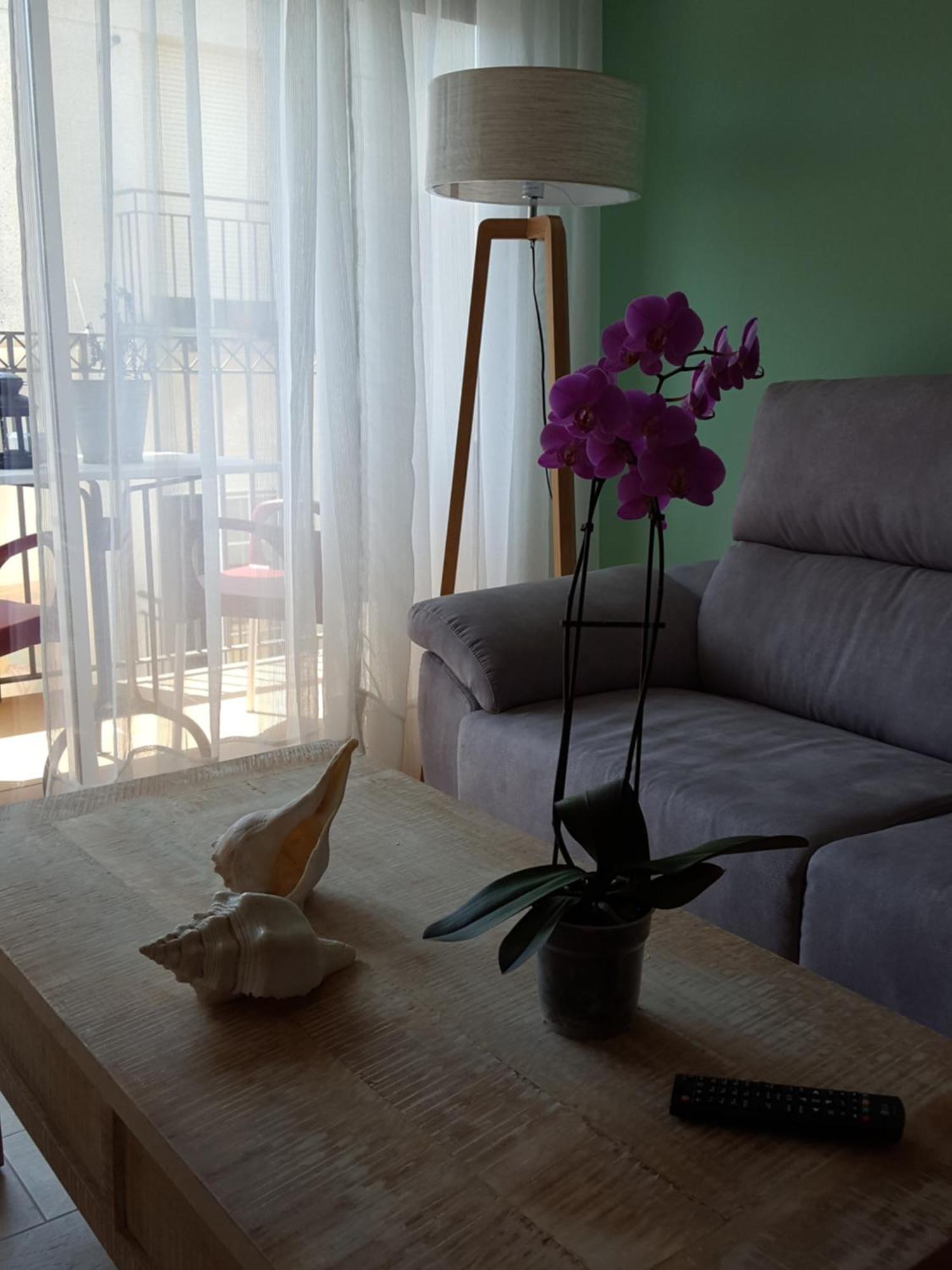 Apartment Mandala Confort Y Encanto A Pie Playa *
